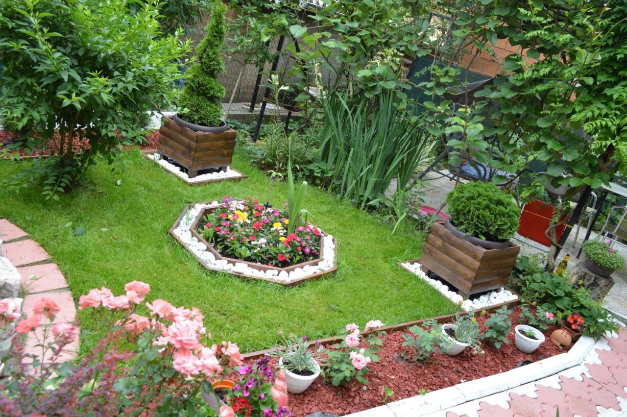 Apartman "Busije" Požarevac Esterno foto