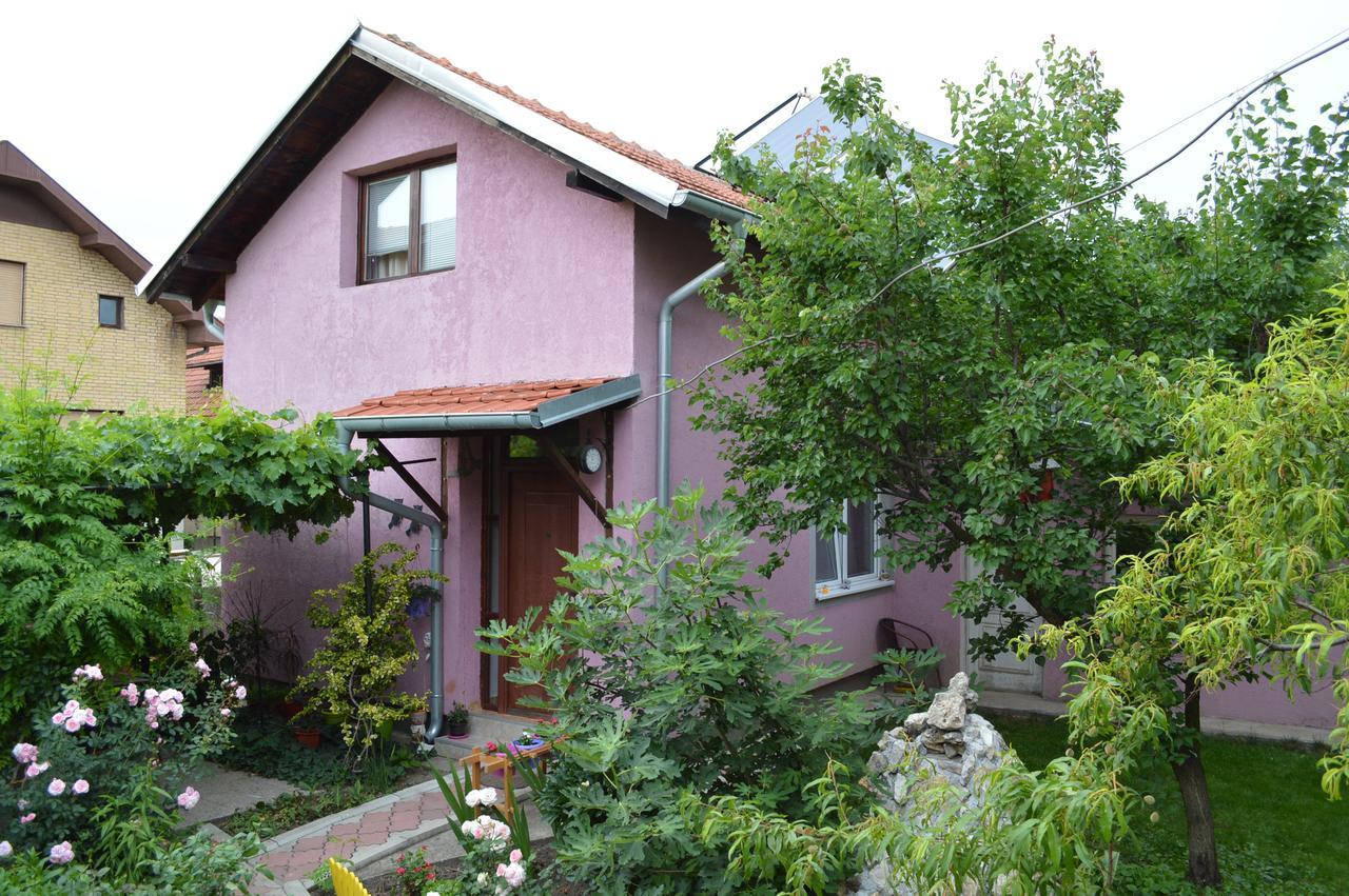 Apartman "Busije" Požarevac Esterno foto